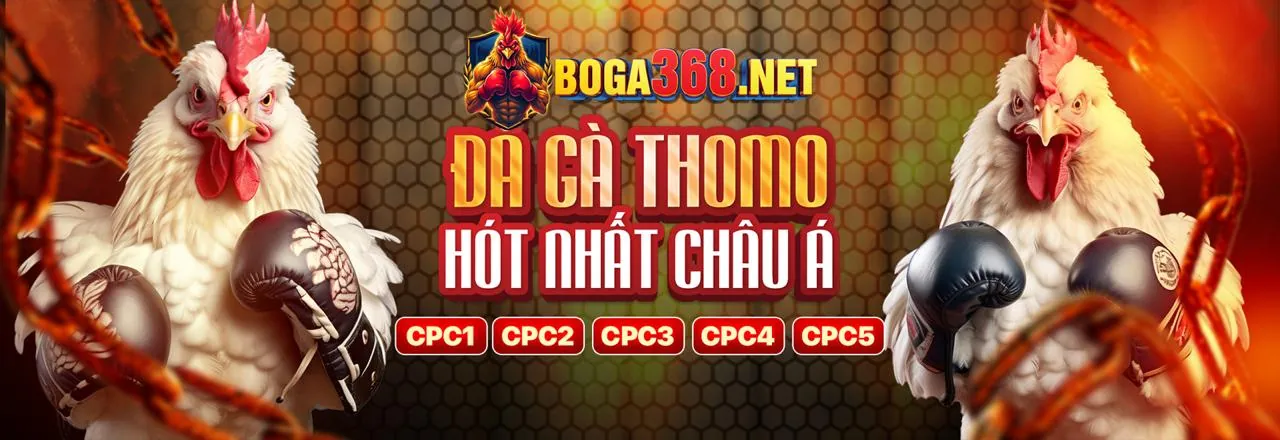 Đá gà trực tuyến 55vin Chính Thức